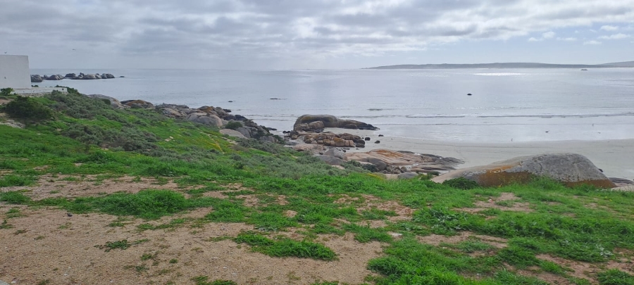 0 Bedroom Property for Sale in Bekbaai Western Cape